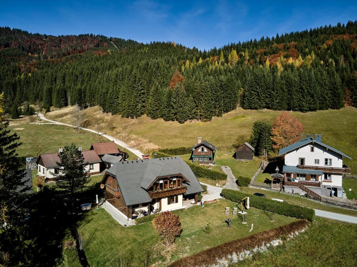 Frein Chalets - Wildalm Frein an der Murz Экстерьер фото