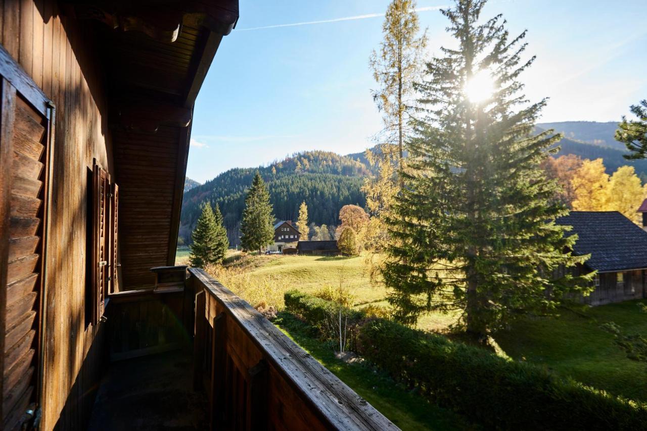 Frein Chalets - Wildalm Frein an der Murz Экстерьер фото