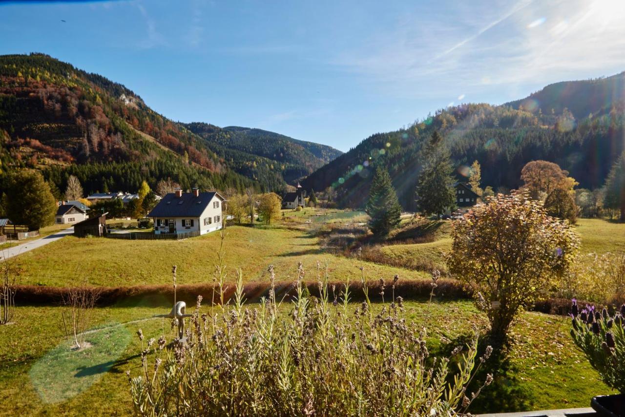 Frein Chalets - Wildalm Frein an der Murz Экстерьер фото
