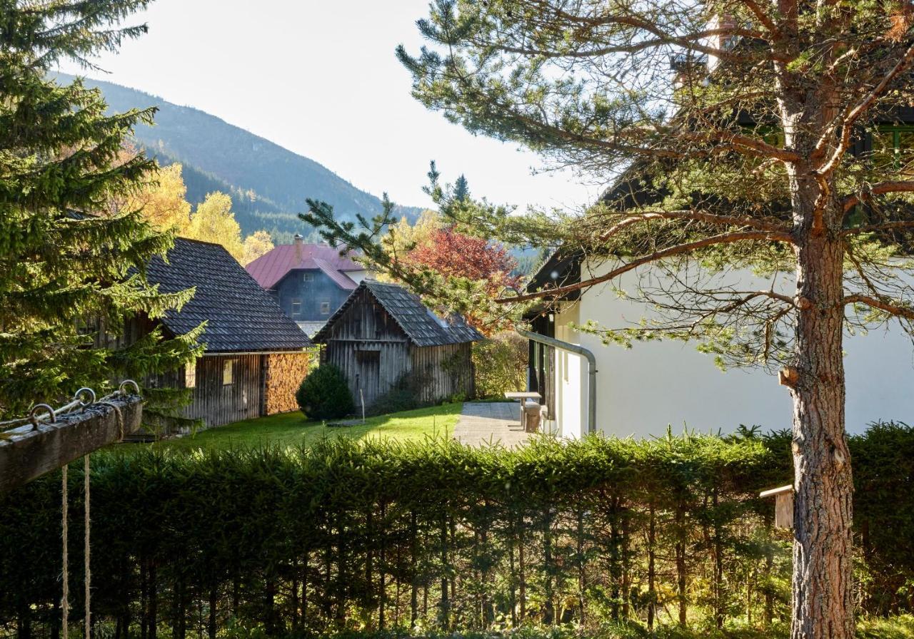 Frein Chalets - Wildalm Frein an der Murz Экстерьер фото