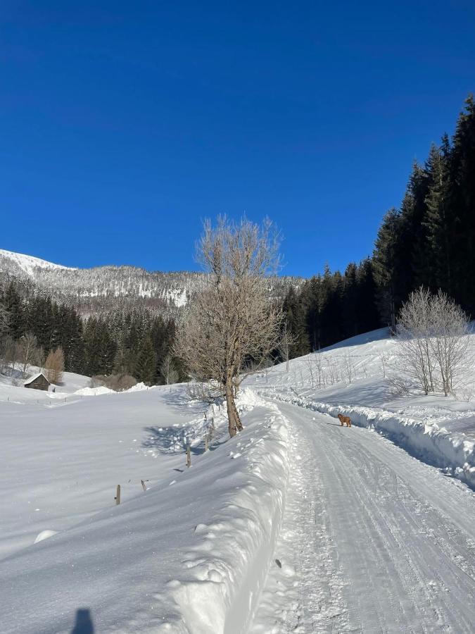 Frein Chalets - Wildalm Frein an der Murz Экстерьер фото