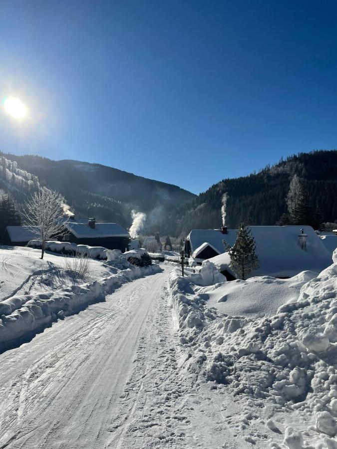 Frein Chalets - Wildalm Frein an der Murz Экстерьер фото