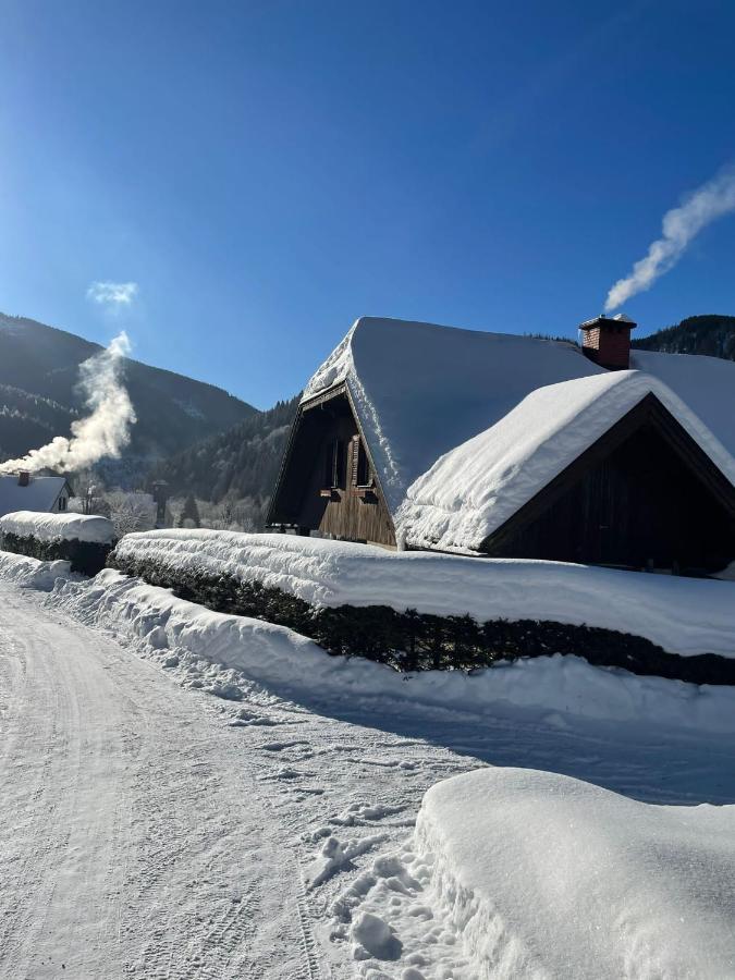Frein Chalets - Wildalm Frein an der Murz Экстерьер фото