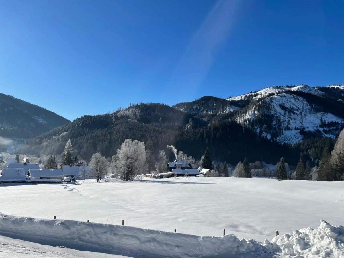 Frein Chalets - Wildalm Frein an der Murz Экстерьер фото
