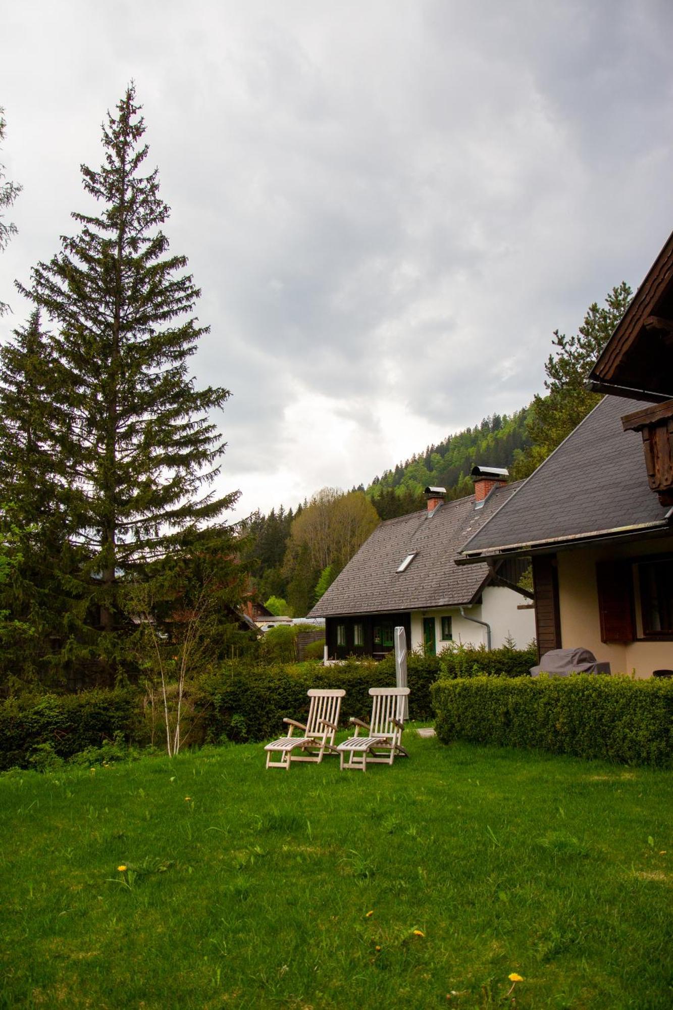 Frein Chalets - Wildalm Frein an der Murz Экстерьер фото